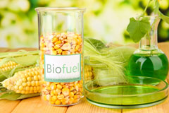 Putson biofuel availability