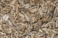 biomass boilers Putson