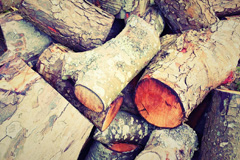 Putson wood burning boiler costs